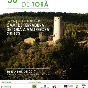 Caminada 2017. Camí de ferradura de Torà a Vallferosa. GR-170